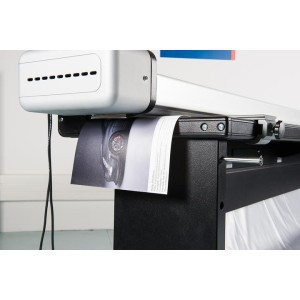 Buy neolt electro power trim plus 145 with stand online in Australia