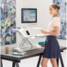 Buy fellows lotus sit-stand - white online in Australia